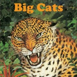 Random House Big Cats - English Edition